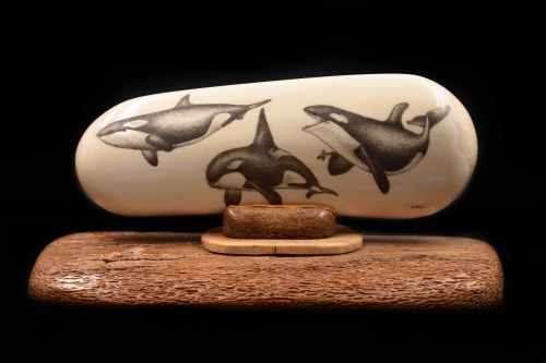 KILLERWHALE SCRIMSHAW